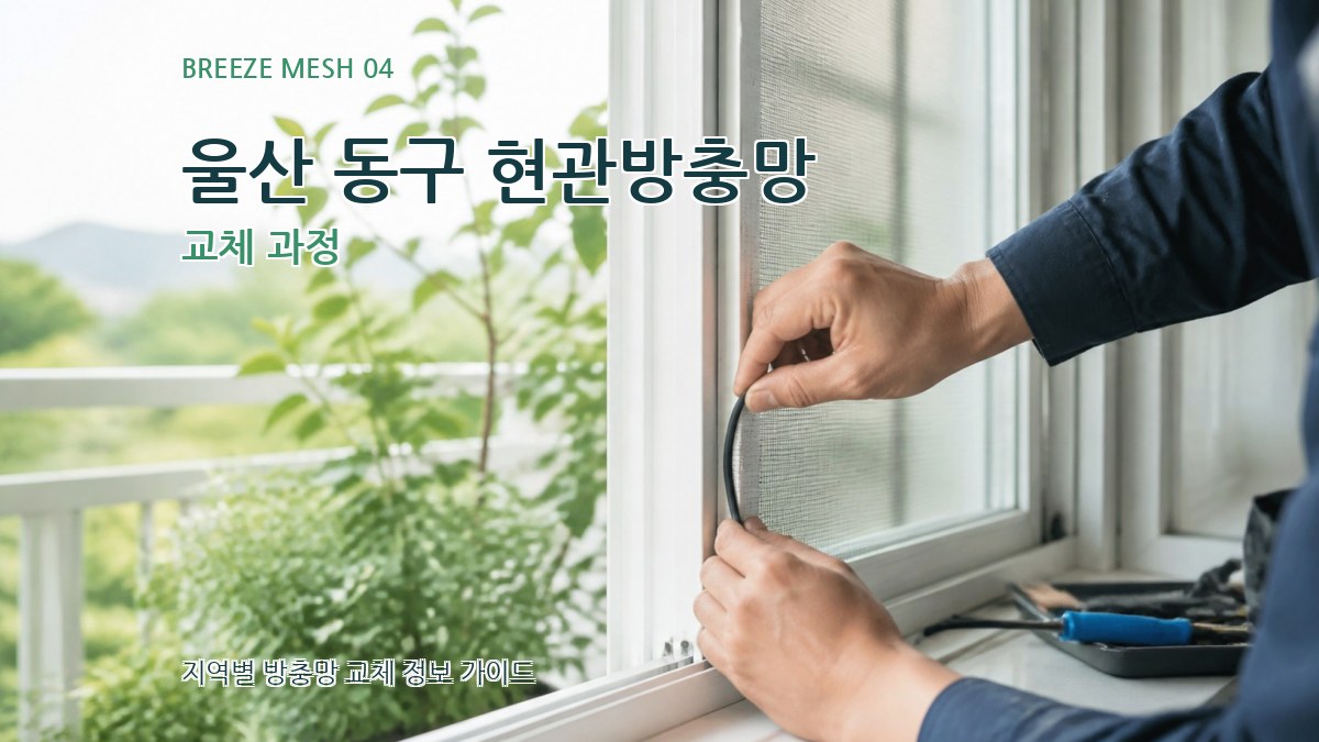 울산 동구 현관방충망 교체 과정