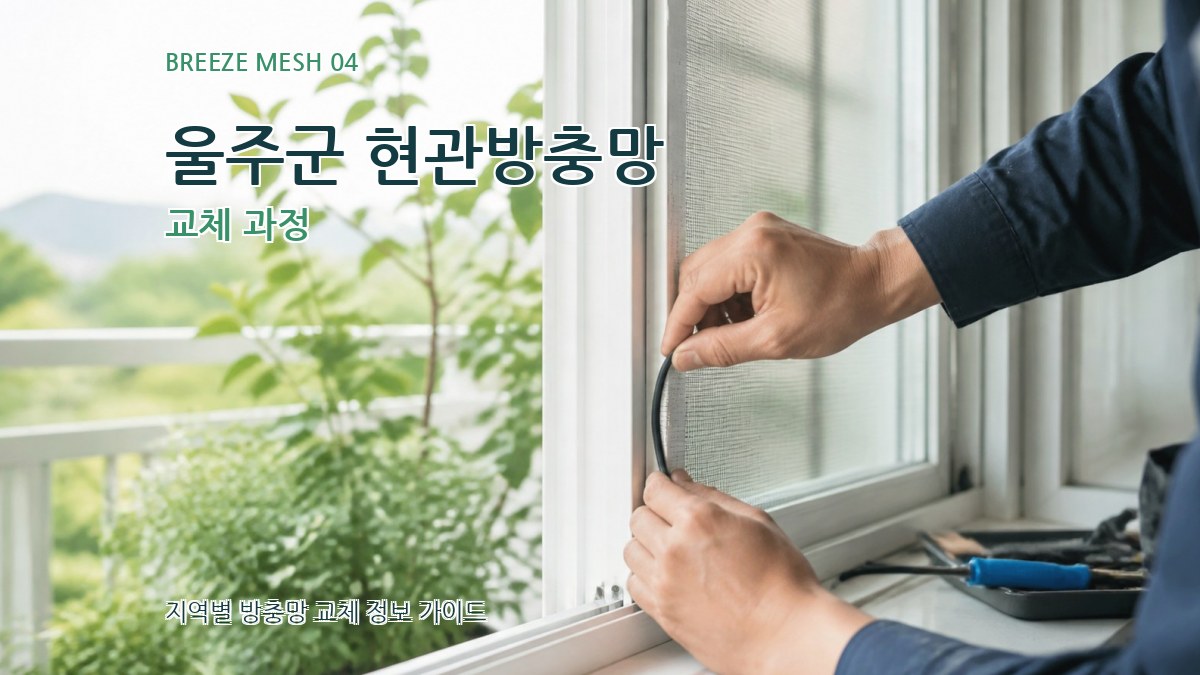 울주군 현관방충망 교체 과정