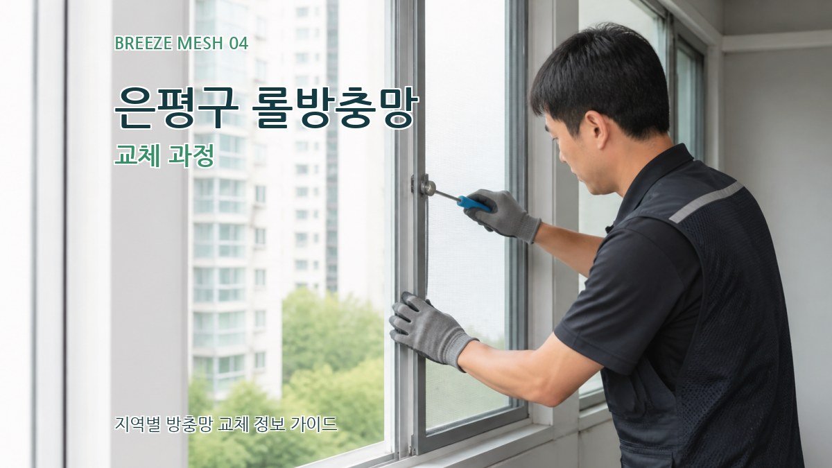 은평구 롤방충망 교체 과정