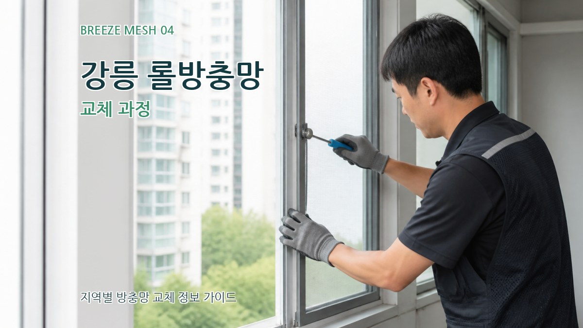 강릉 롤방충망 교체 과정